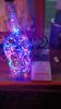 Bottle LED lights